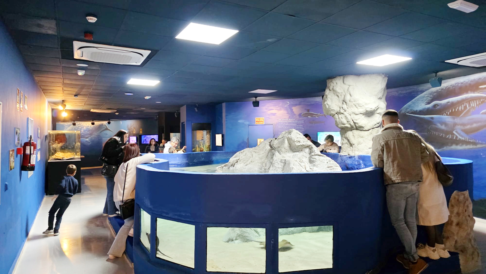 El Acuario de Almuñécar registra 1.956 visitantes en su primer mes y consolida su éxito de imagen y asistencia